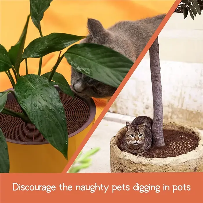 1PC Pot de plante garde de sol avec clous Pot