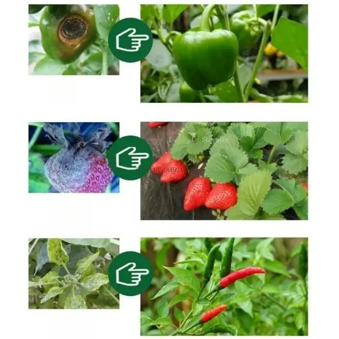 Engrais biologique pur Trichoderma Hartzia pour plantes vertes, fruits, légumes et fleurs – Favorise la croissance et prévient la pourriture des racines