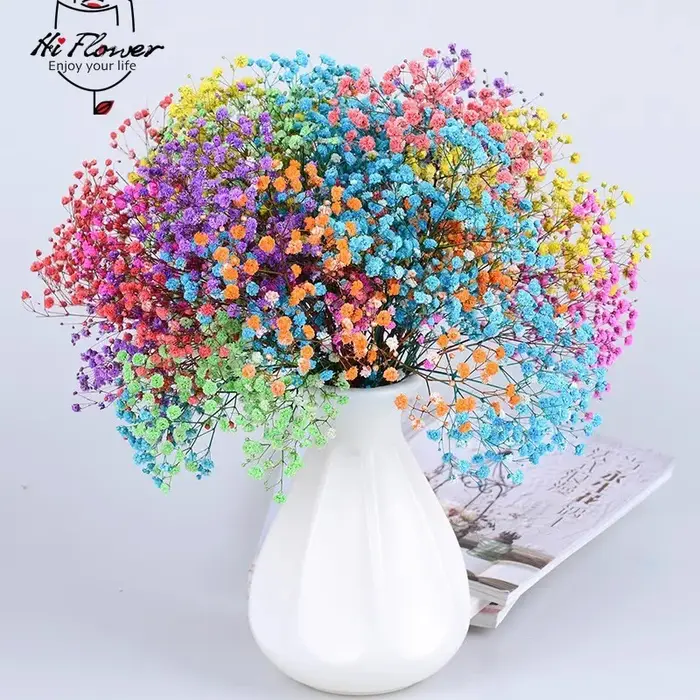 Fleurs séchées naturelles conservées