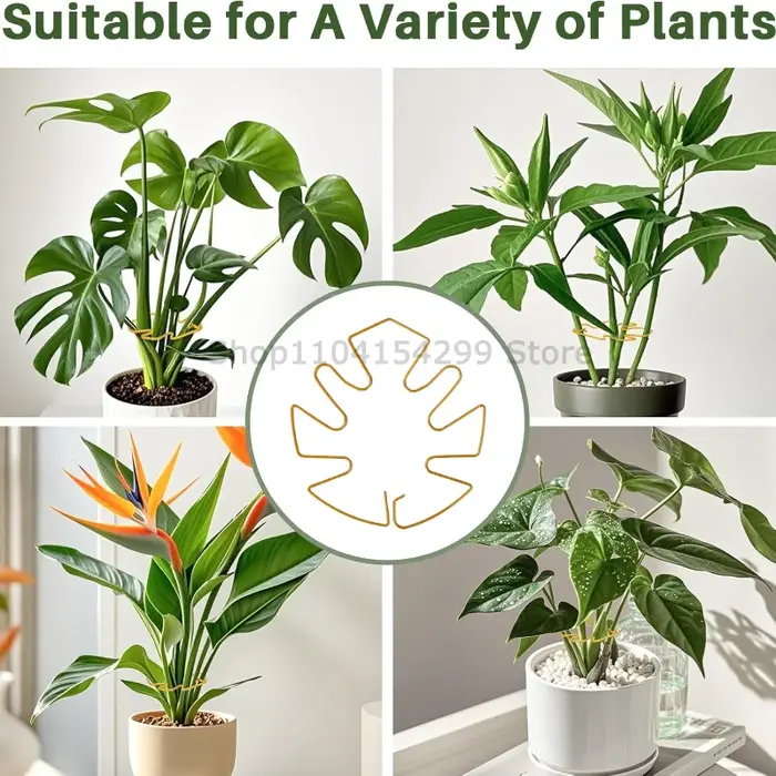 Support robuste pour grande plante Monstera