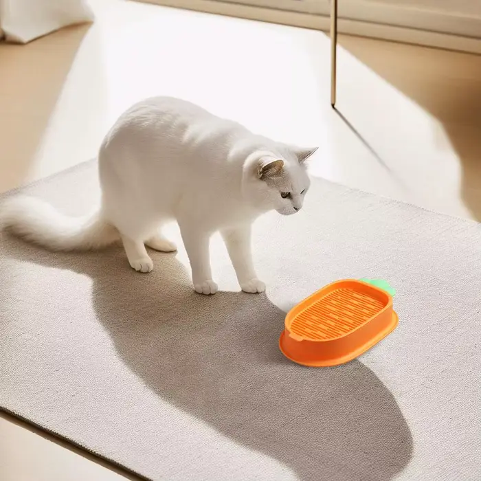 Boîte de herbe à chat hydroponique sans terre