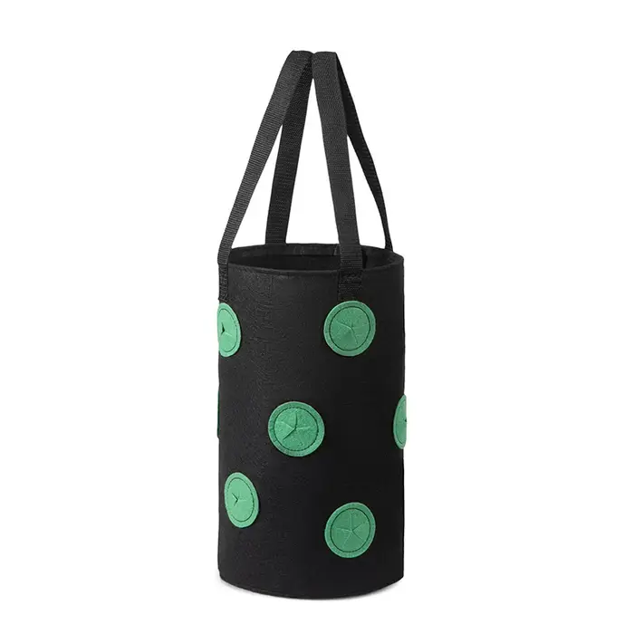 Sac de plantation suspendu pour fraises et tomates