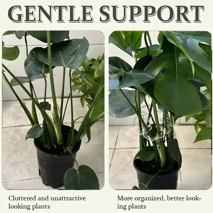 Lot de 10 pinces de support de plantes transparentes et flexibles