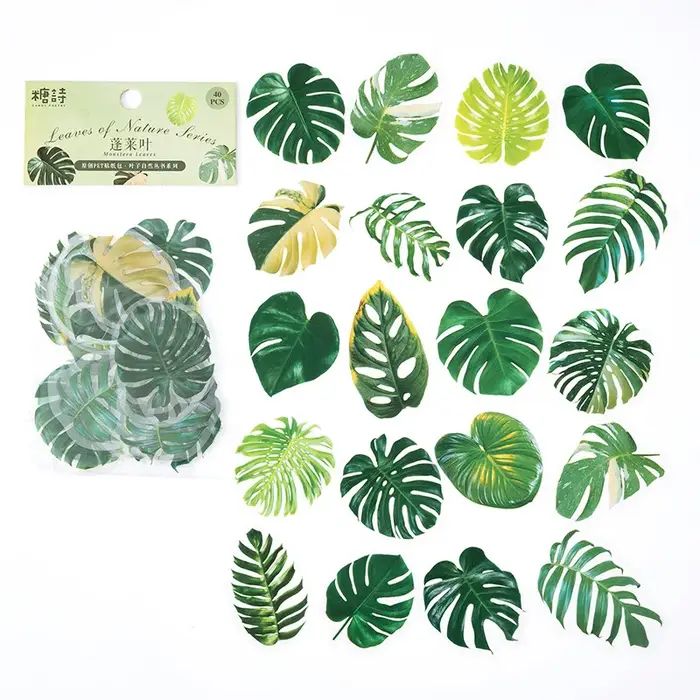 Autocollants transparents en PET pour plantes