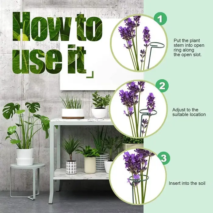 Bâtons de Support pour plantes grimpantes en pot