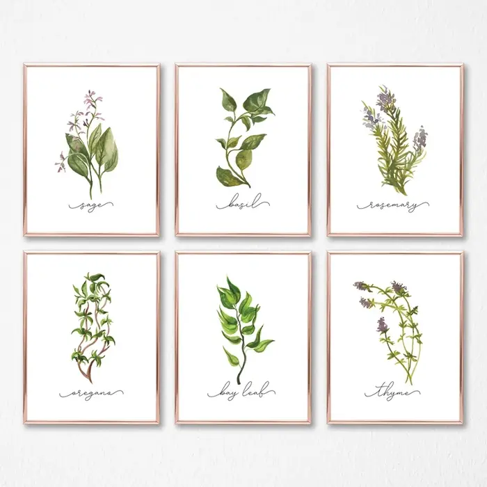 Affiches murales sur toile de Collection d'herbes