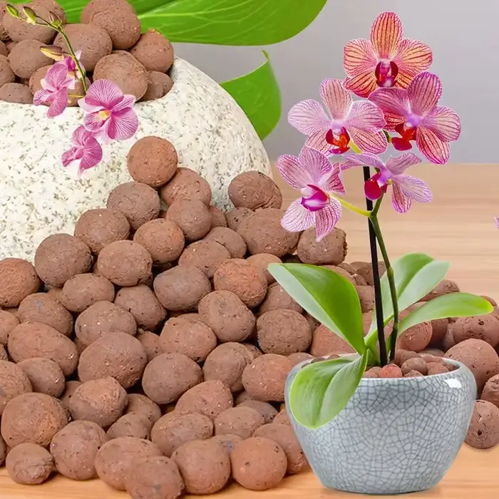 Boules d'argile hydroponique réutilisables de 1 lib