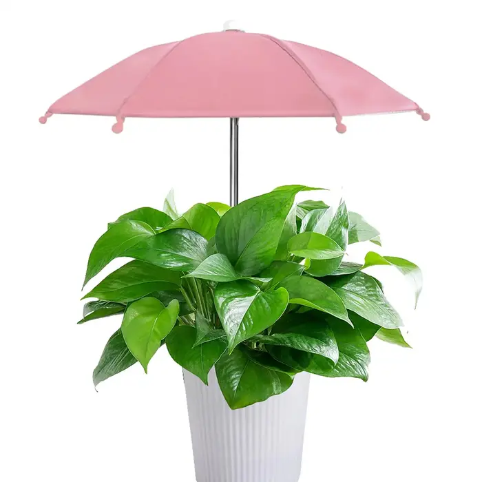 Parasol de protection UV pour plantes