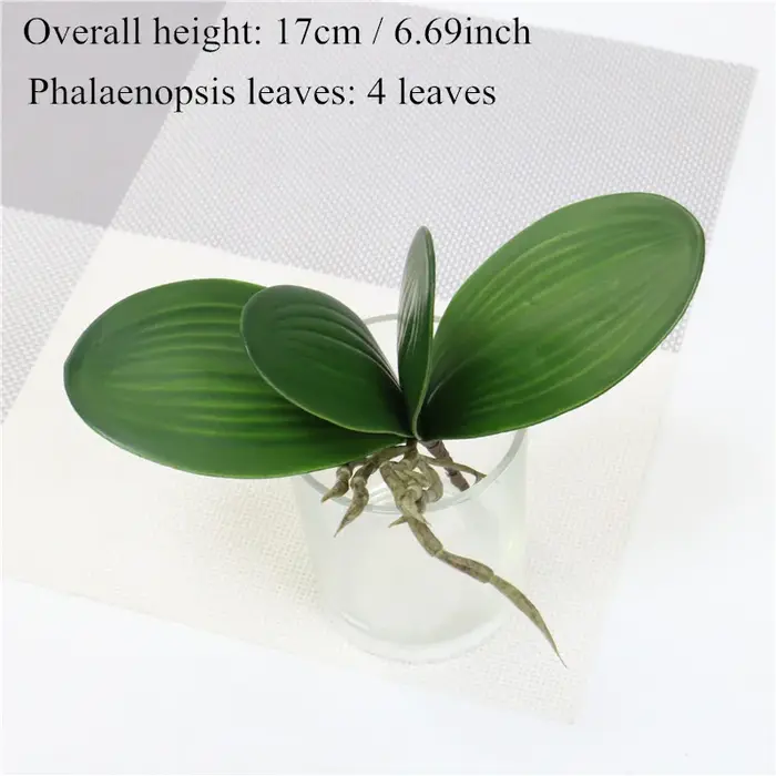 Plantes artificielles au toucher réel, feuille de Phalaenopsis, fleurs décoratives, matériel auxilia