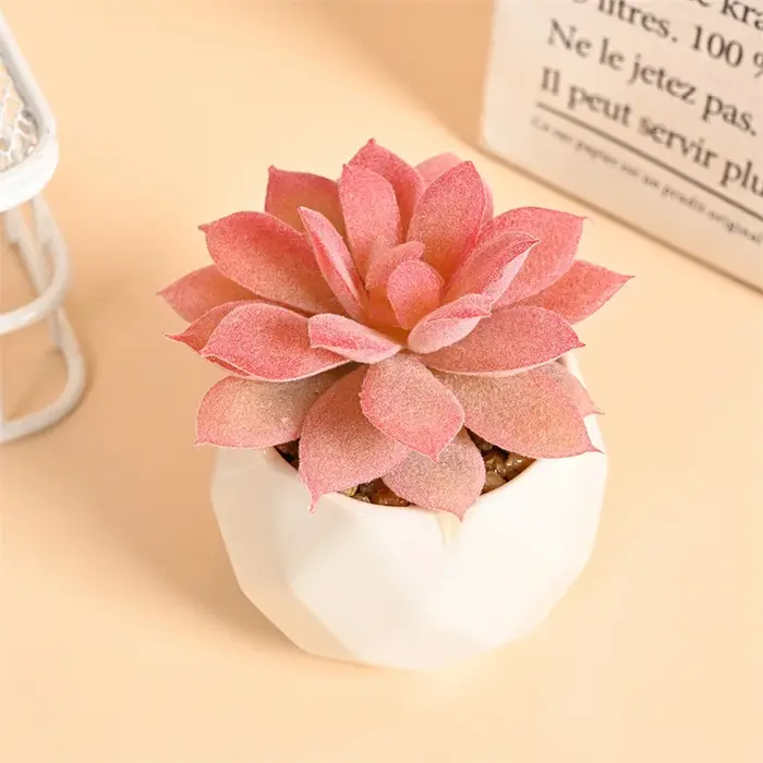 Ensemble de Mini plantes succulentes artificielles