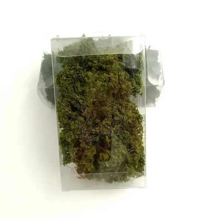 CAMSOsimplifié ENGE-Modèle de feuilles de fleurs et de plantes