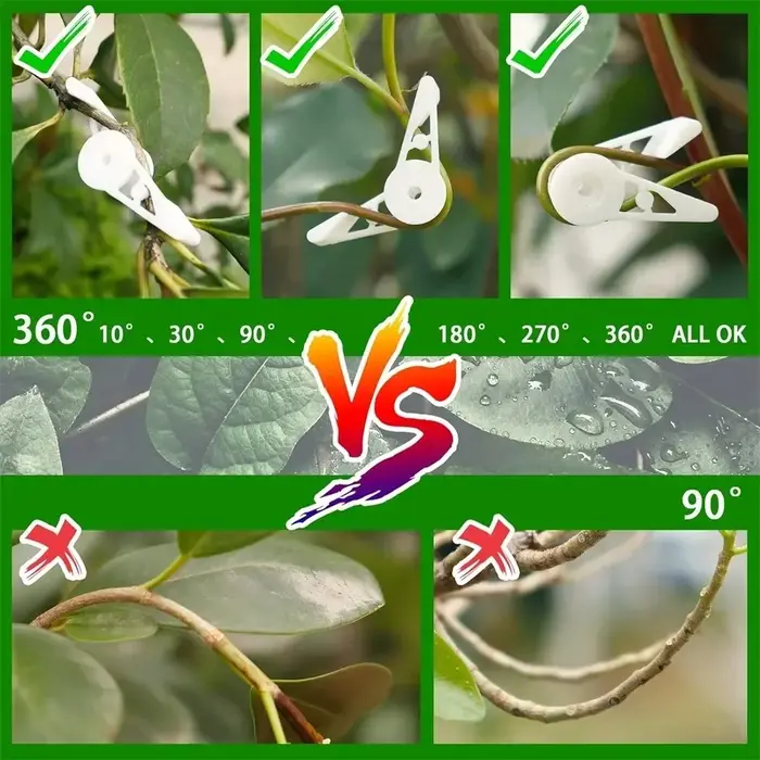 Clips d'entraînement pour cintreuse de Branches de plantes