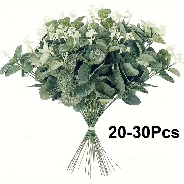 Tiges de feuilles d'eucalyptus