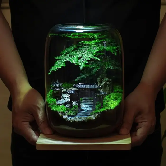 Kit de terrarium en fibre végétale de qualité supérieure avec conception de sol de style campagnard pour la maison ou