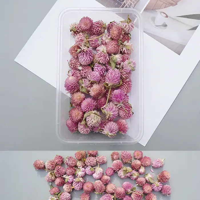 Boîte de fleurs séchées, plantes sèches pour résine époxy, moule de moulage, bricolage, bougies d'ar