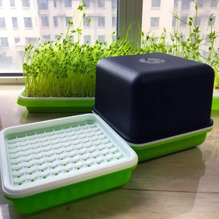 Kit de culture hydroponique pour pousses de haricots, arachides et semis, avec plateau de semis, boîte de culture de pousses et pot de culture de pousses, fournitures de jardinage