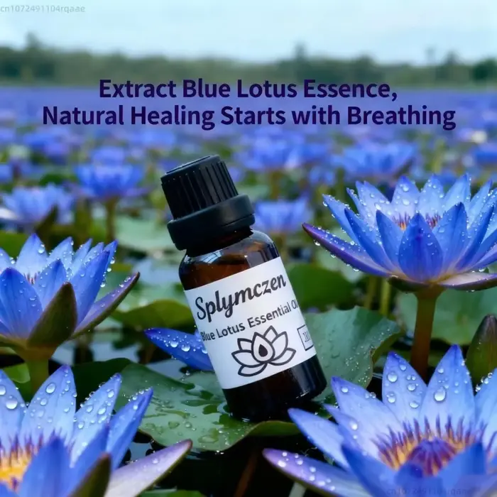Fleur de Lotus naturelle de haute qualité, 100g, fleurs sèches parfumées, parfum de salle, décor d'a