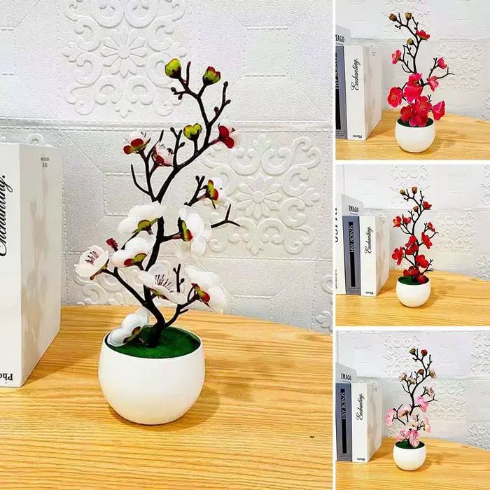 Plante en pot de fleur de prunier à usage intérieur et extérieur