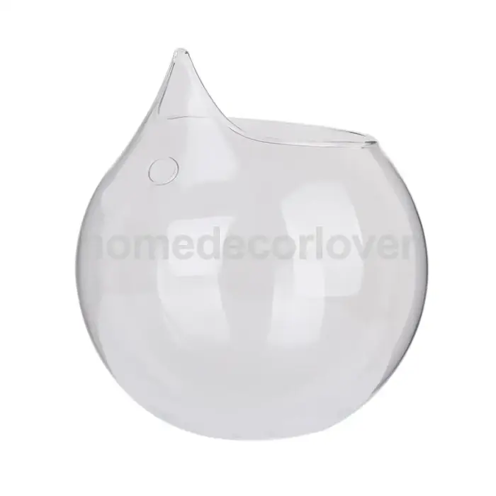 Vase en verre transparent pour plantes à fleurs