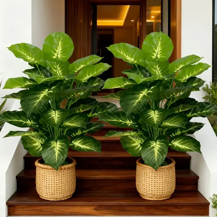 2 Grands Palmiers Artificiels Dieffenbachia à Feuilles Jaunes Réalistes