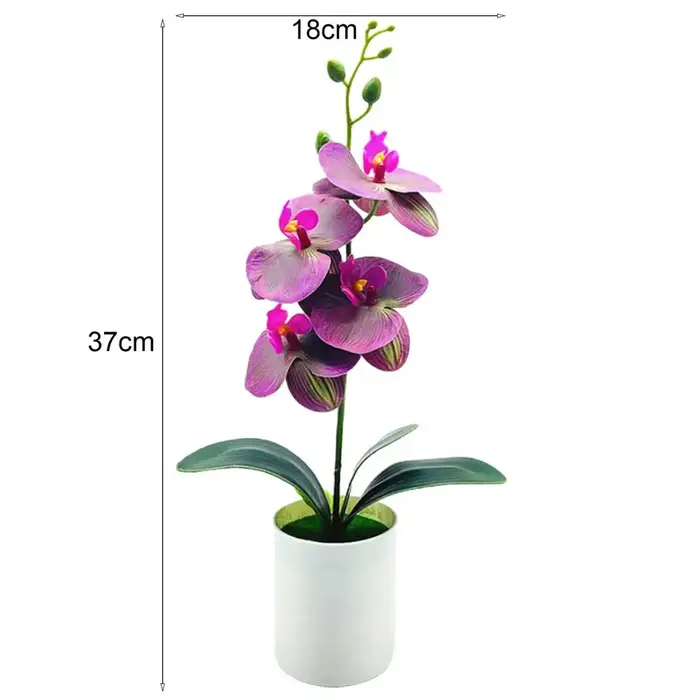 Plante Artificielle Phalaenopsis de 37x18cm
