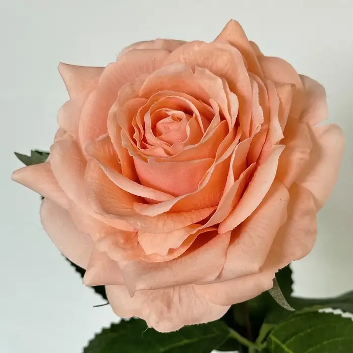 Lot de 5 roses artificielles Alice à tête unique