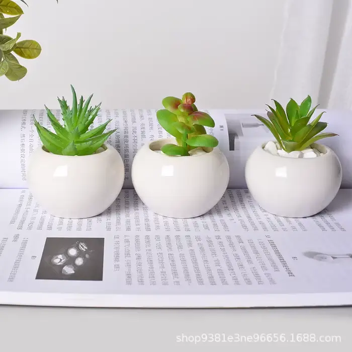 Petit pot rond en céramique pour plantes succulentes