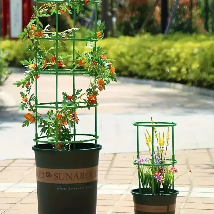 Piquets de Support pour plantes