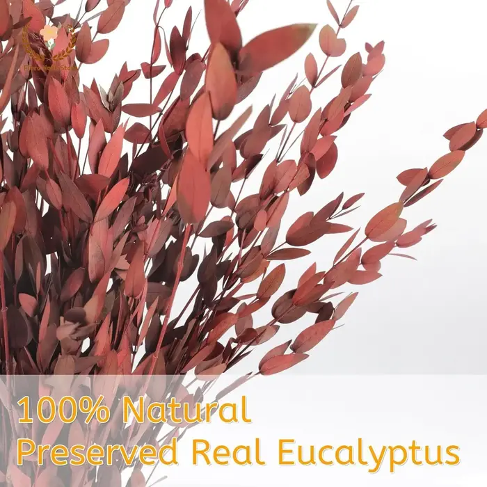 Bouquet de feuilles d'eucalyptus rouge véritable
