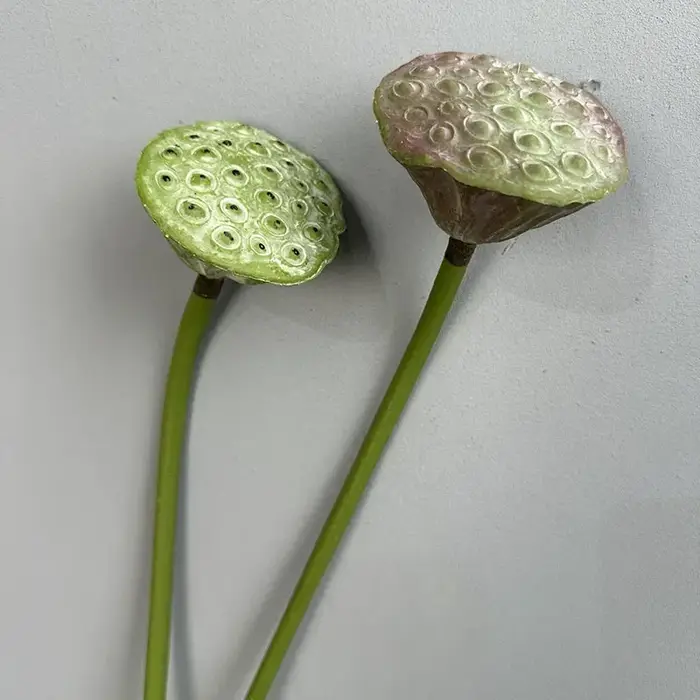 Plantes vertes artificielles du Vermont chinois