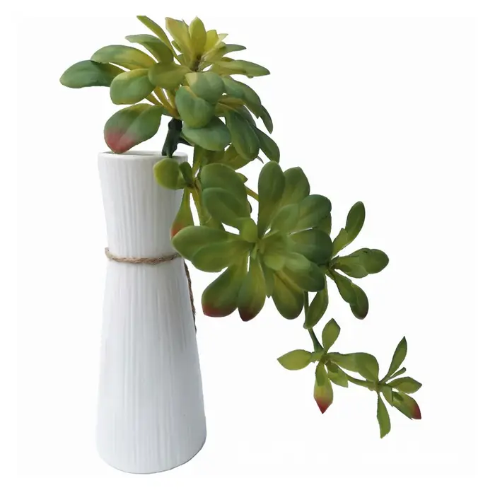 Plantes succulentes artificielles vertes et rouges
