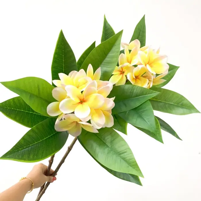 Impression 3D Main Sensation Frangipanier Fleurs Branche