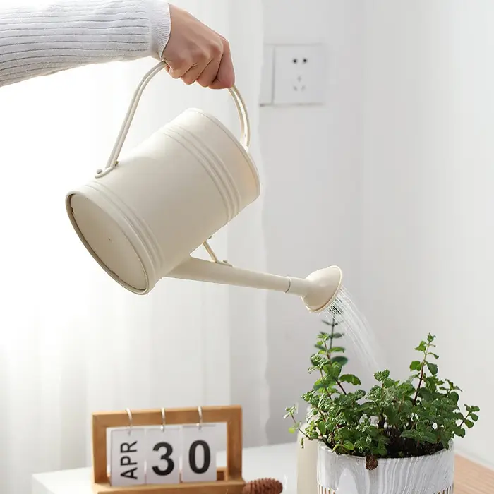 Arrosoir pratique à longue bouche, outils de jardinage pour fleurs et plantes, 2L