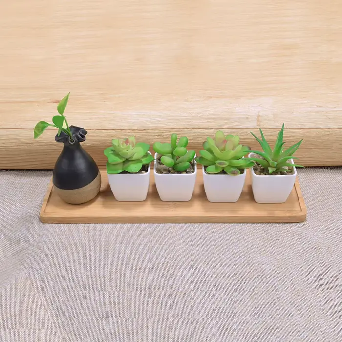 Soucoupes rectangulaires pour plantes en bambou