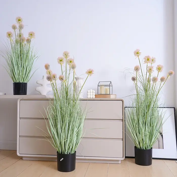 Boule d'oignon rose pour la décoration intérieure de la maison