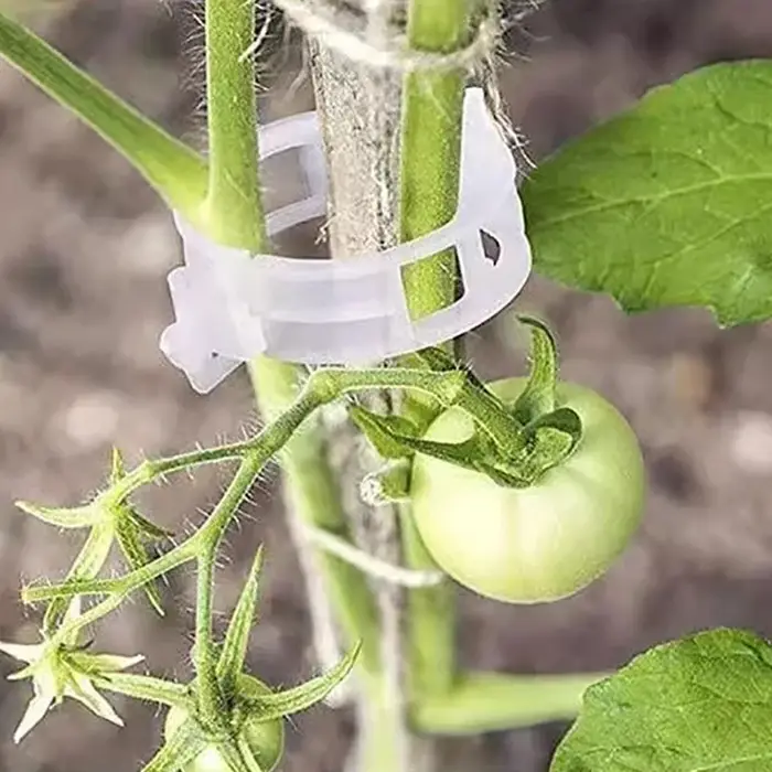 Clips de Support de plantes en plastique