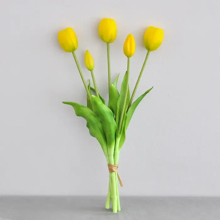 Bouquets de tulipes en caoutchouc souple Él, décoration de table basse, style de règle, photographie
