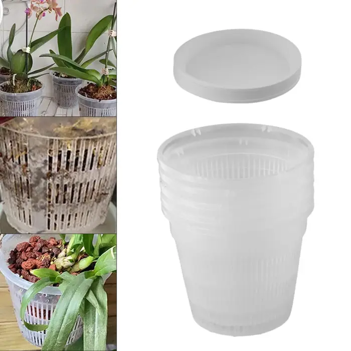 Pots de pépinière transparents