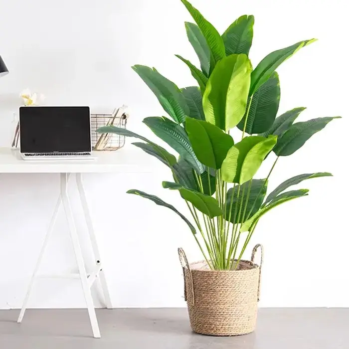 Plantes artificielles sans bassin