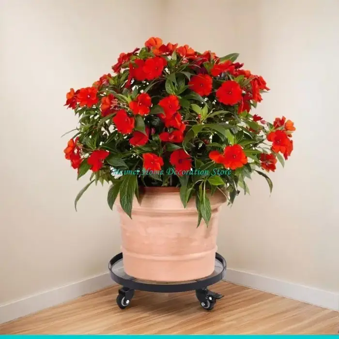 H7BF – soucoupes jardinière à roulettes à lourde