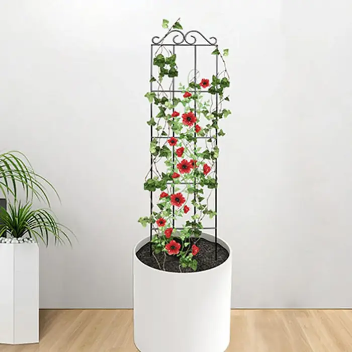 Treillis de croissance pour plantes grimpantes