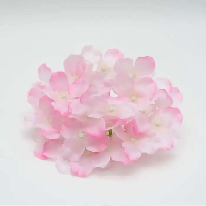 Tête de fleur d'hortensia de Simulation