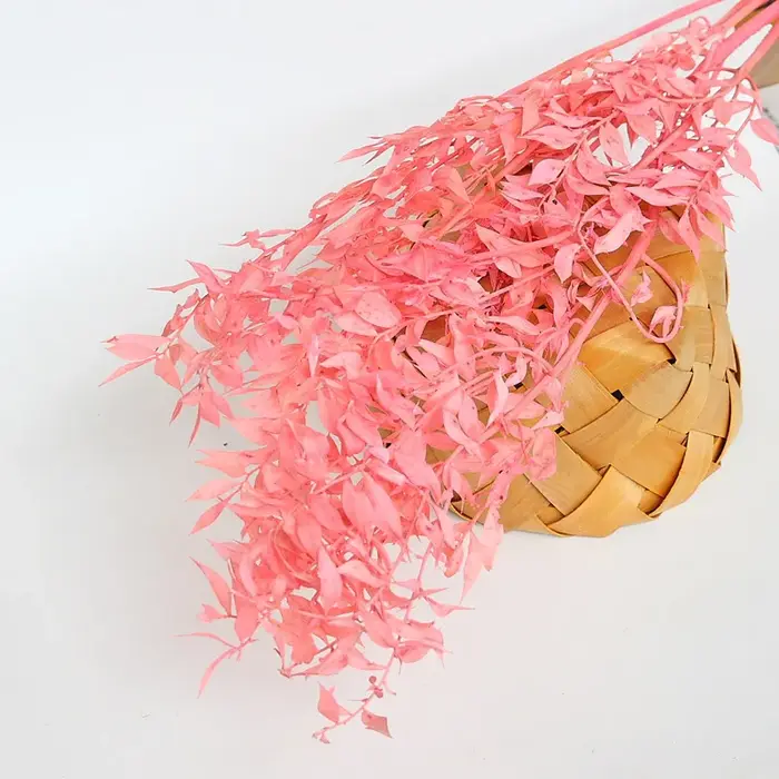 Fleurs séchées naturelles pour la décoration de la maison et du jardin, vrai cuir chevelu pointu, pl