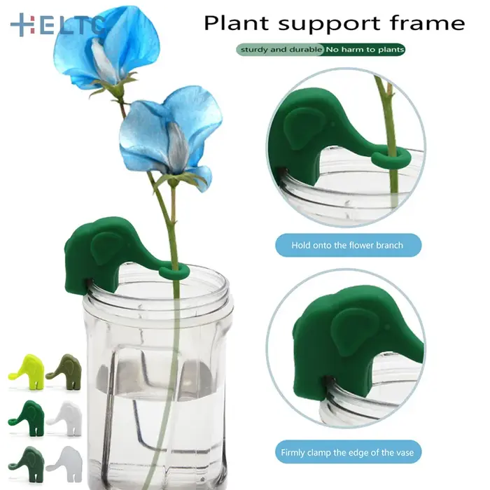 Éléphant plante Propagation copain