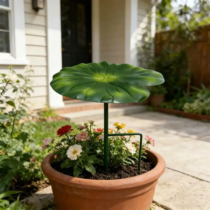 Parasols pour plantes d'extérieur