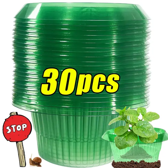 1/30 pièces Anneaux de protection anti-légionnaires pour plantes