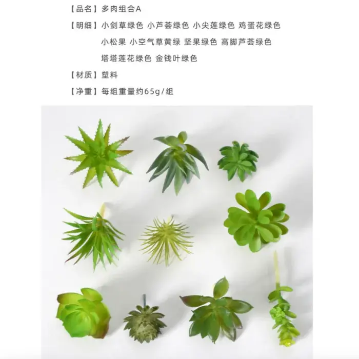 Plantes succulentes en PVC, fausses plantes succulentes vertes pour la maison, le jardin, petit bons