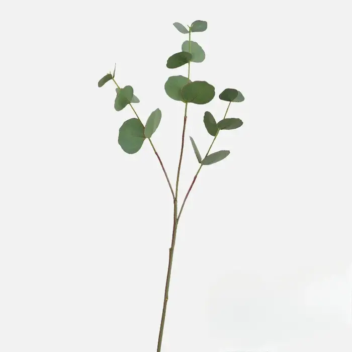 Feuilles d'eucalyptus artificielles pour la décoration de la maison, plantes vertes, feuilles à doub