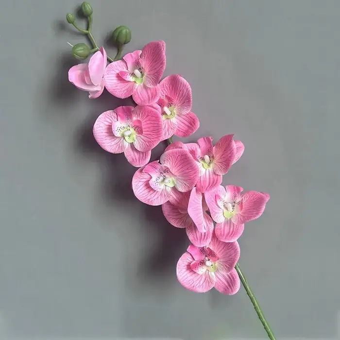 Fleur artificielle Phalaenopsis 3D