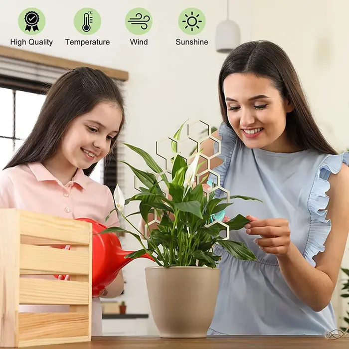 Cadre de Support pour Plantes en Forme de Nid d'Abeille
